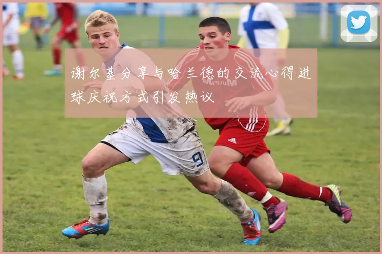谢尔基分享与哈兰德的交流心得进球庆祝方式引发热议