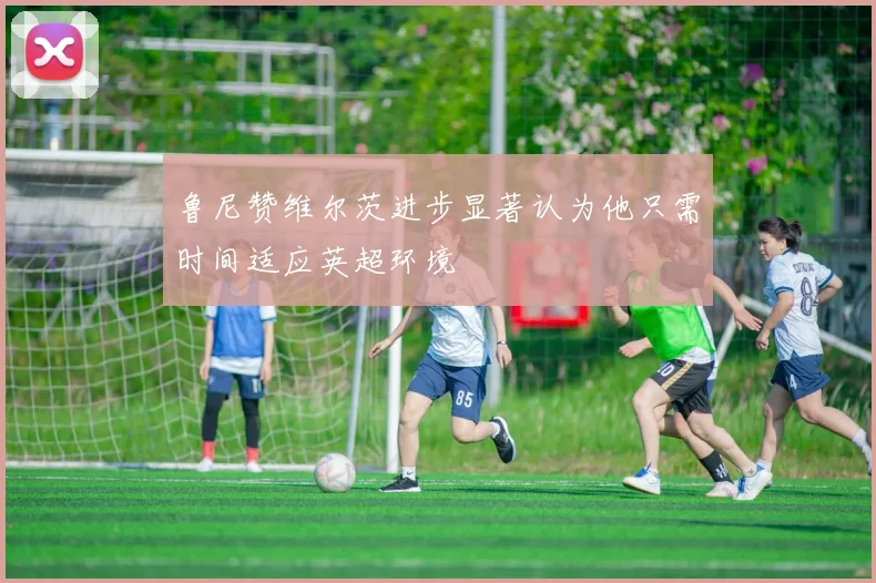 鲁尼赞维尔茨进步显著认为他只需时间适应英超环境