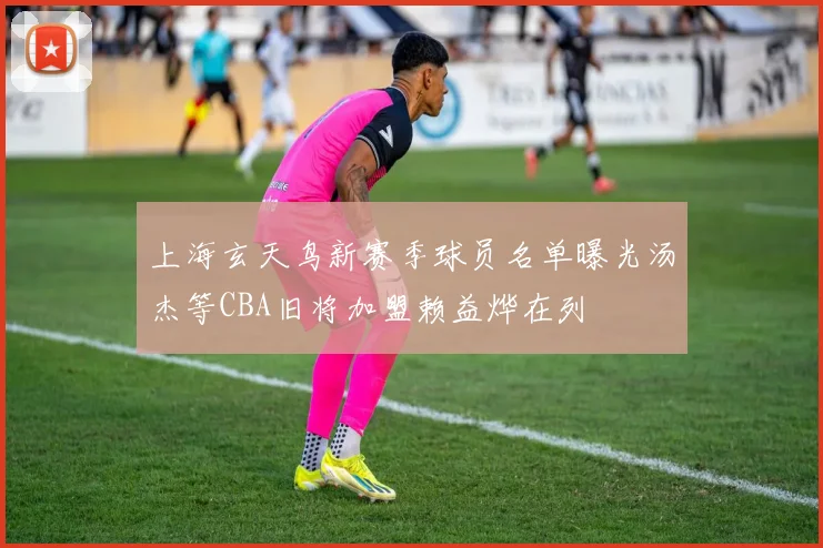 上海玄天鸟新赛季球员名单曝光汤杰等CBA旧将加盟赖益烨在列