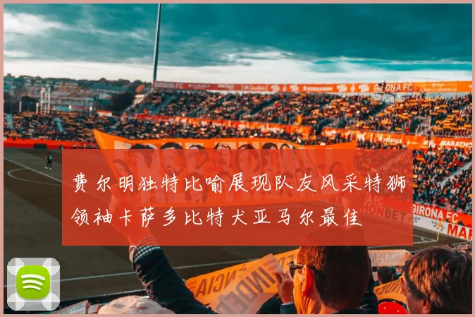 费尔明独特比喻展现队友风采特狮领袖卡萨多比特犬亚马尔最佳