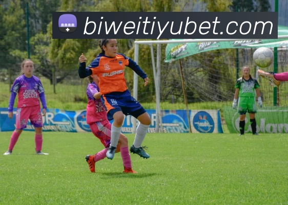 必威体育发展历程